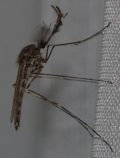 z250622-08.jpg