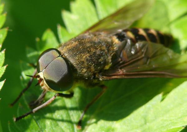 Click to view full image zz250613-004.jpg